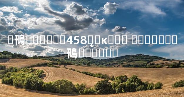 �鳵�ⷨ����458ƽ̨�ĸ��� �������鳵���޼۸�